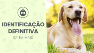 Read more about the article Identificação Definitiva