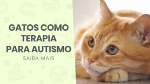 Read more about the article Os gatos na terapia de autismo