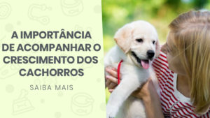 Read more about the article A importância de acompanhar o crescimento dos cachorros filhotes