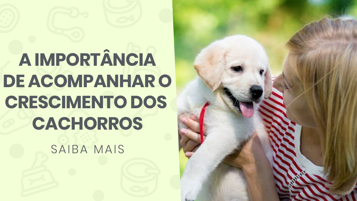 You are currently viewing A importância de acompanhar o crescimento dos cachorros filhotes