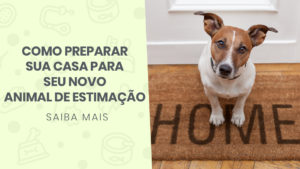 Read more about the article Como preparar sua casa para seu novo Animal de Estimação