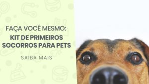 Read more about the article Faça você mesmo: Kit de Primeiros Socorros para Pets