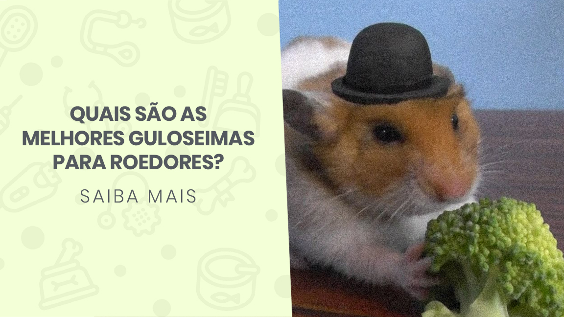 You are currently viewing Quais são as melhores guloseimas para roedores?