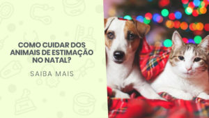 Read more about the article Como cuidar dos animais de estimação no Natal