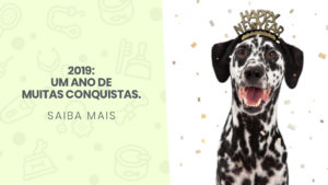 Read more about the article 2019: Um ano de muitas conquistas