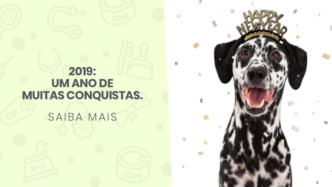 You are currently viewing 2019: Um ano de muitas conquistas