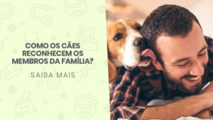 Read more about the article Como os cães reconhecem os membros da família?