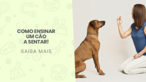 Read more about the article Como ensinar um cão a sentar!