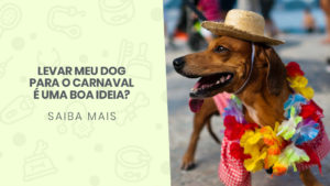 Read more about the article Levar meu dog pro Carnaval é uma boa ideia?