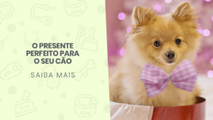 Read more about the article O presente perfeito para o seu cão.