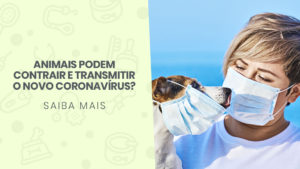 Read more about the article Os animais podem contrair e transmitir o novo coronavírus?