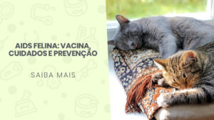 Read more about the article AIDS Felina: Vacina, cuidados e prevenção