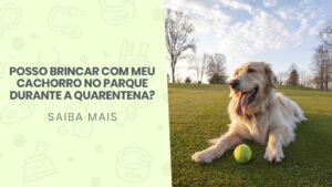 Read more about the article Posso brincar com meu cachorro no parque durante a quarentena?