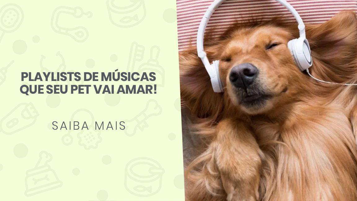 You are currently viewing Playlists de músicas que seu pet vai amar!