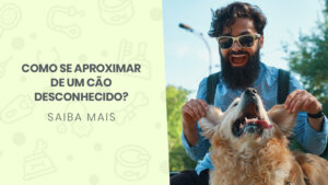 Read more about the article Como se aproximar de um cão desconhecido?