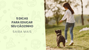 Read more about the article 5 dicas para educar seu cãozinho