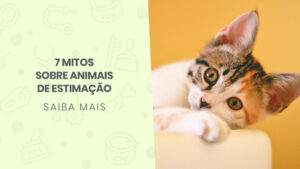 Read more about the article 7 mitos sobre animais de estimação