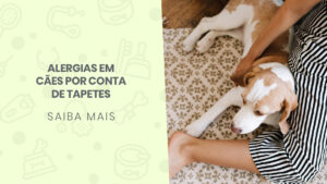 Read more about the article Alergias em cães por conta de tapetes