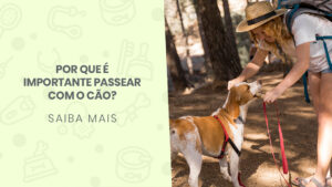 Read more about the article Por que é importante passear com o cão?