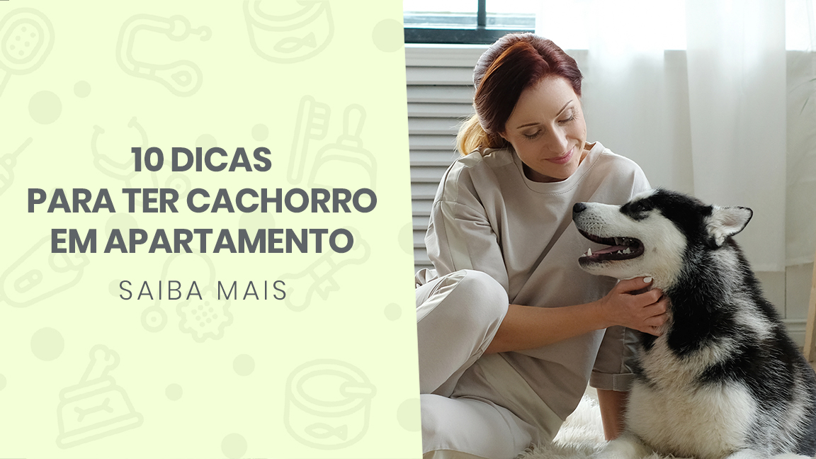 You are currently viewing 10 dicas para ter cachorro em apartamento