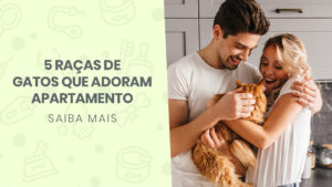 Read more about the article 5 raças de gatos que adoram apartamento