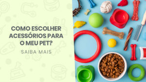 Read more about the article Como escolher acessórios para o meu pet